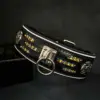 Luxuriöses Atlantis-Halsband – Stil, Komfort und Exklusivität für Ihren Hund – Bild 2