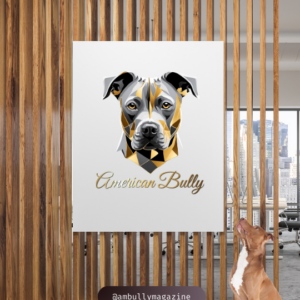 americanbully portrait