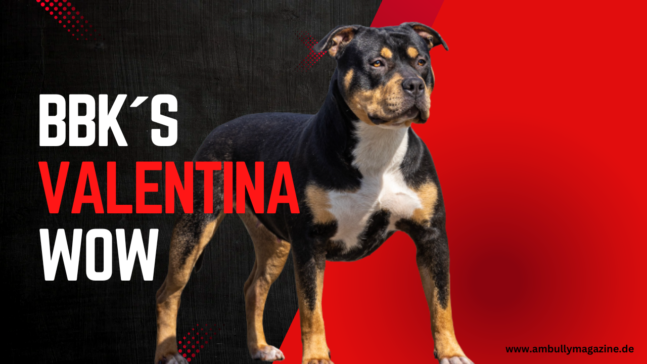 BBK´s Valentina