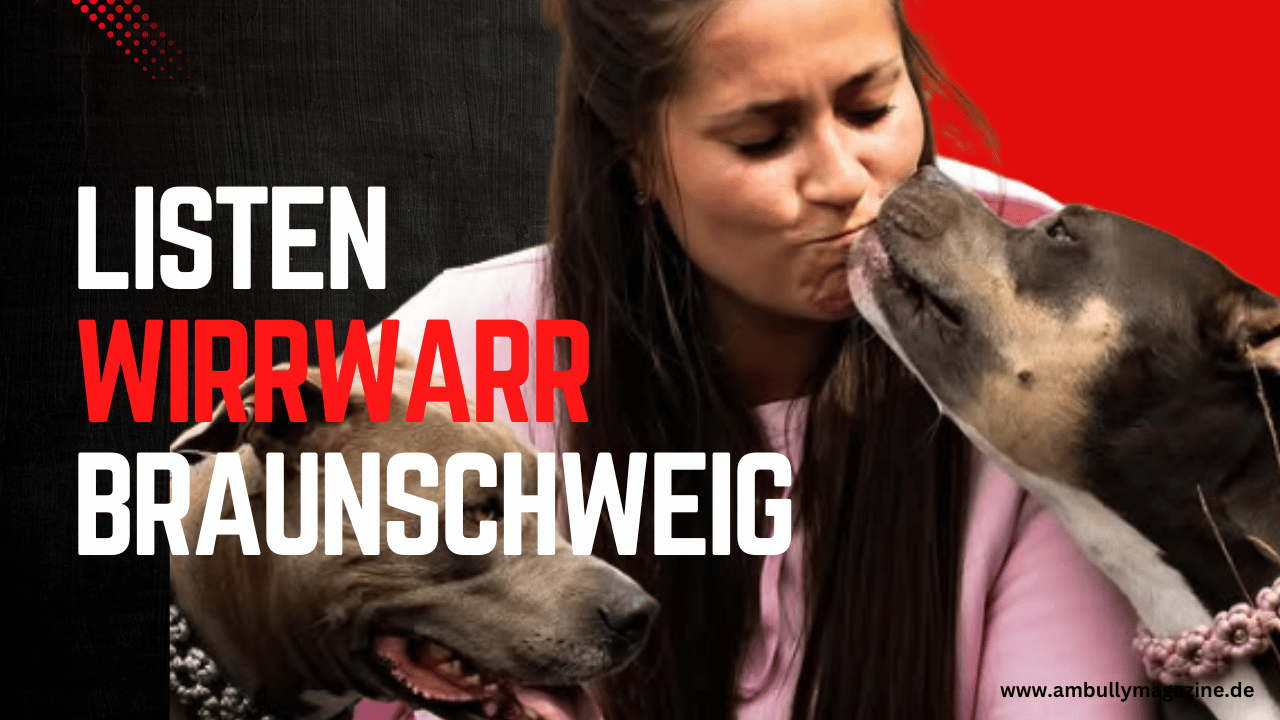 American Bully – vom Begleithund zum Sündenbock – Steuererhöhung in Braunschweig