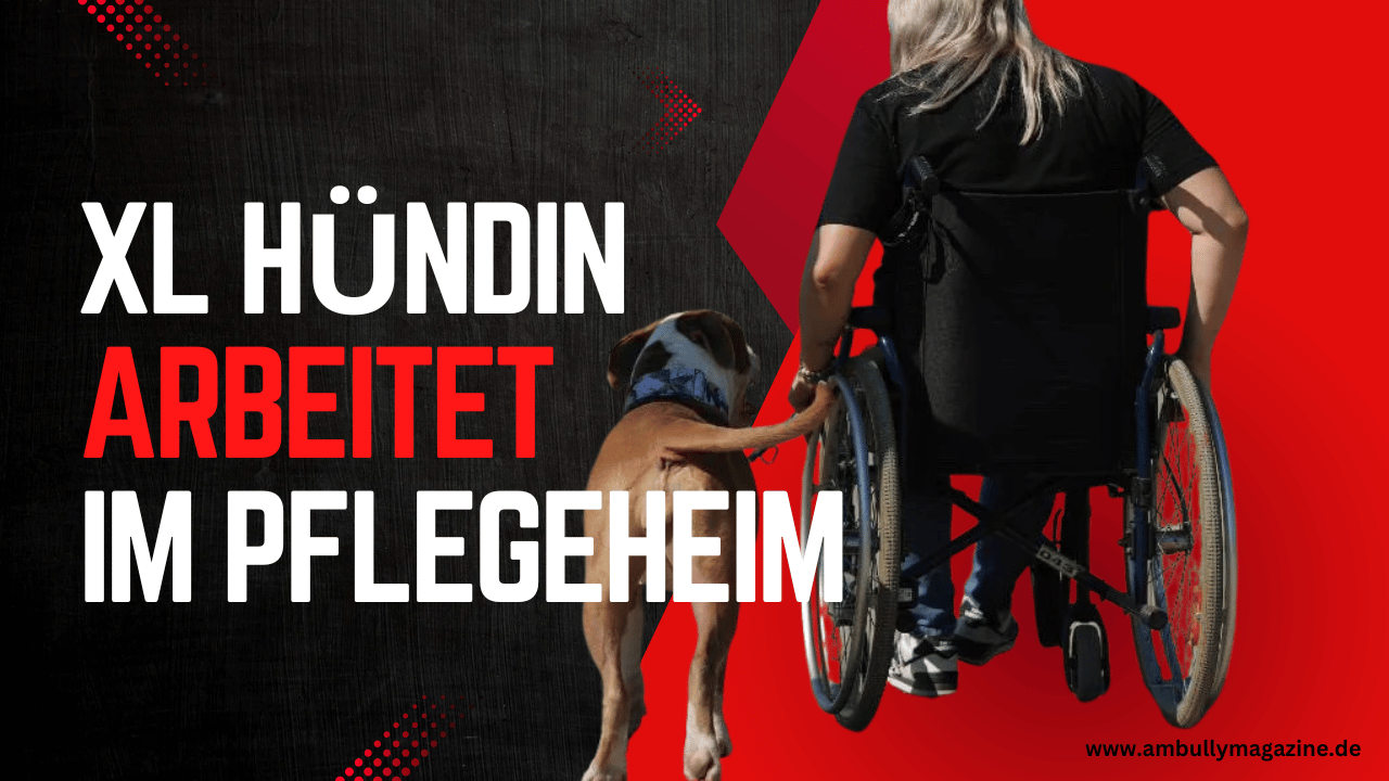 Ein Lächeln, Vier Pfoten: Sanela´s und Paulas Herzliche Mission in Pflegeeinrichtungen