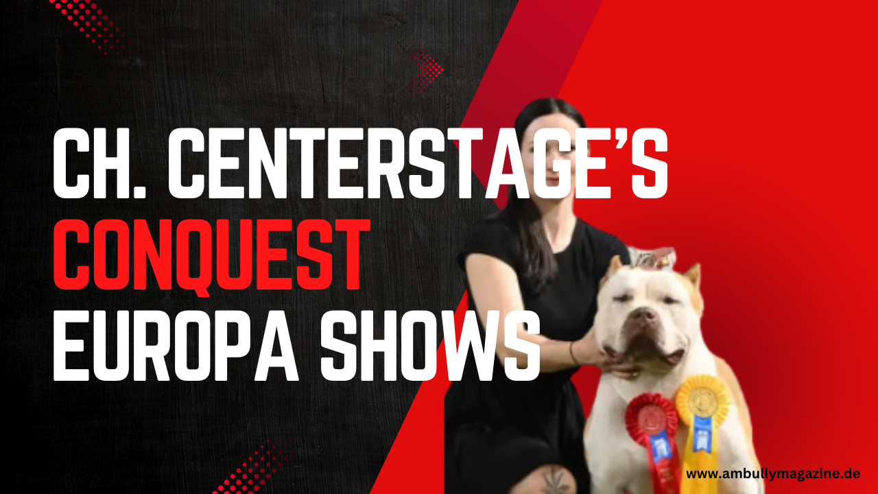 CH. Centerstage’s Conquest erobert die europäischen ABKC Shows