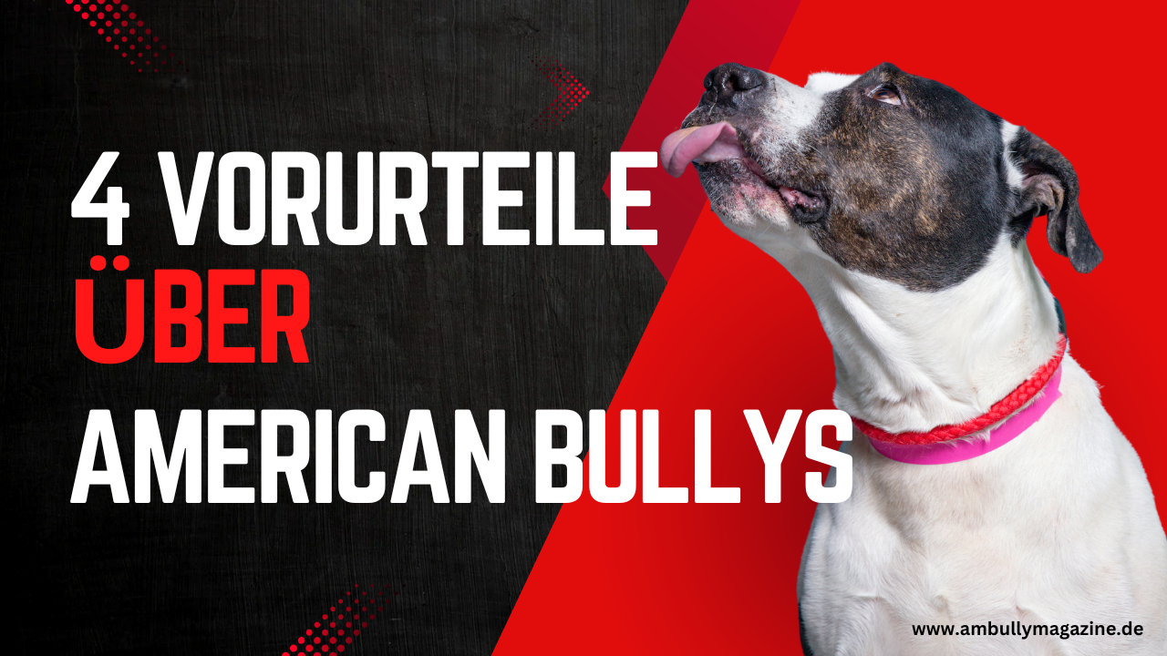 Entlarvung der Vorurteile: American Bullys im wahren Licht