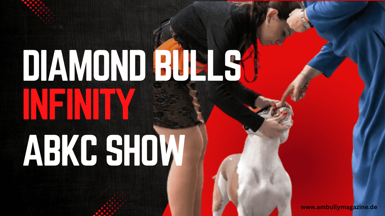„DIAMOND BULLS INFINITY“ erobert die ABKC-Bühne