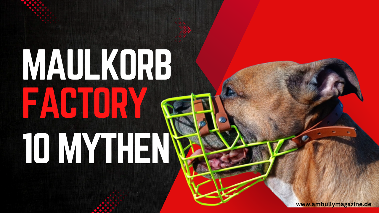 American Bullys und Maulkörbe – ein Interview mit der Maulkorb Factory