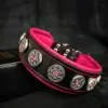 american bully halsband