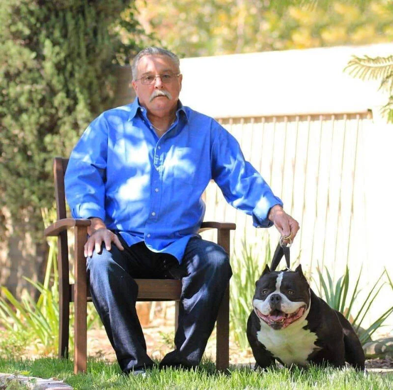 edshepert american bully