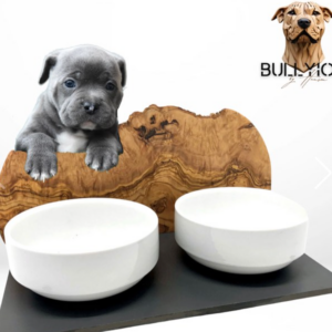 Futterstation MOUNTAIN für American Bullies – 2 x 1,5 Liter Porzellanschalen mit Olivenholz-Spritzschutz