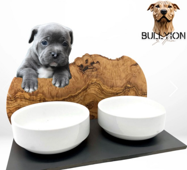 Futterstation MOUNTAIN für American Bullies – 2 x 1,5 Liter Porzellanschalen mit Olivenholz-Spritzschutz