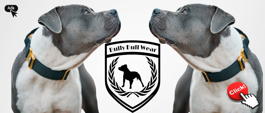 www.bullybullwear.com