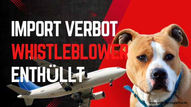 Whistleblower enthüllt bevorstehende Entscheidung über das Verbot des Imports von American Bullys nach Deutschland