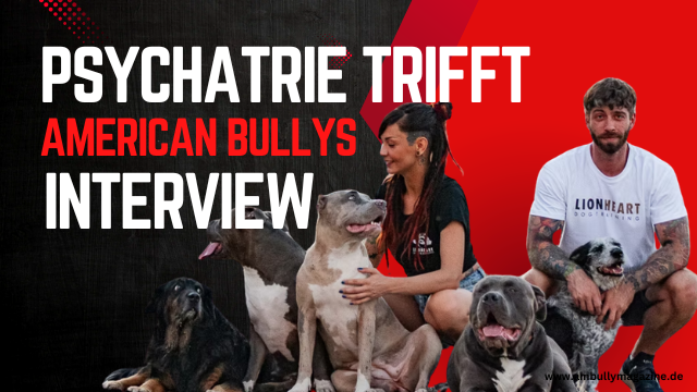 „Psychiatrie trifft American Bully Welt“ – Experten im Gespräch