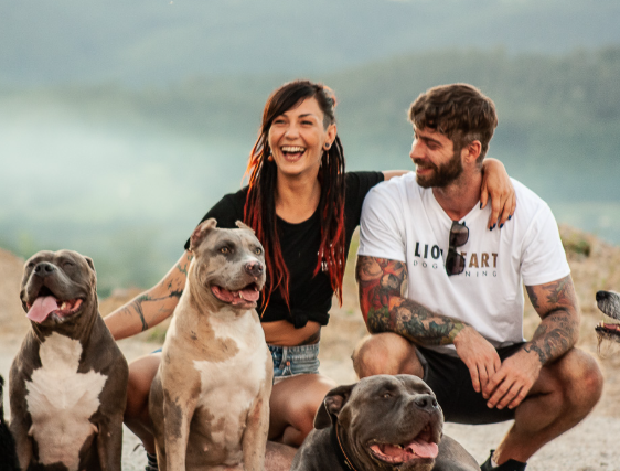 Lionheart Dogtraining American Bully XL