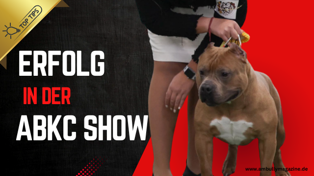 ABKC Show´s und Hundeshows – Ein Blick hinter die Kulissen