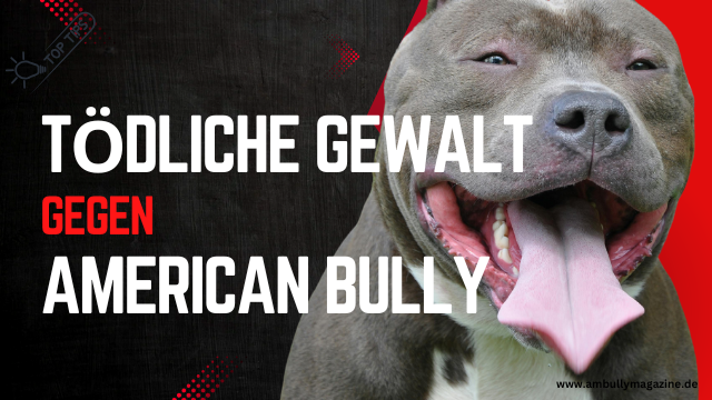 Gericht verhandelt Fall tödlicher Gewalt gegen American Bully „Rex“