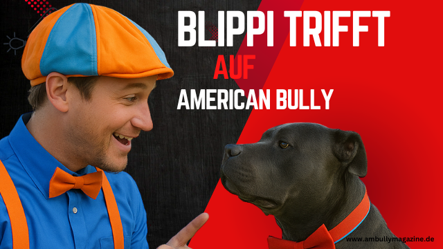 American Bully bei Blippi: Ein tierischer Star bringt frischen Wind in die Kinderserie