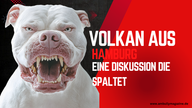 Volkan – eine Tragödie, ein Wendepunkt und die Frage: Was lernen wir daraus?