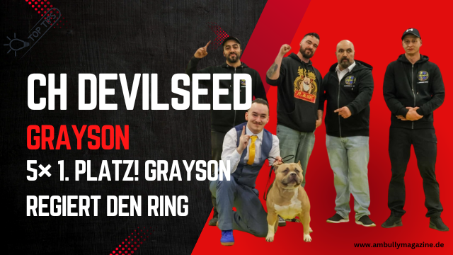 CH Devilseed GRAYSON begeistert auf der ABKC Show Battle od the North in Schweden