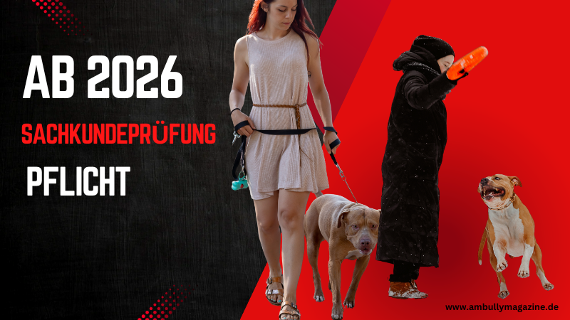 Neue Regelung ab 2026: Sachkundeprüfung für Hundehaltende wird Pflicht in Bremen