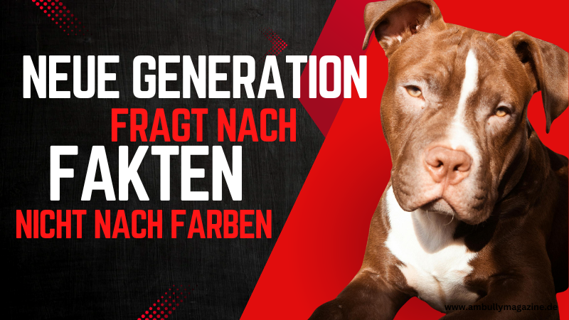 American Bully Käufer sind heute informierter als je zuvor – aber der Wandel hat gerade erst begonnen