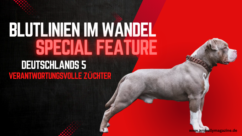 Blutlinien im Wandel – Entwicklung, Einfluss und Verantwortung in der modernen American-Bully-Zucht