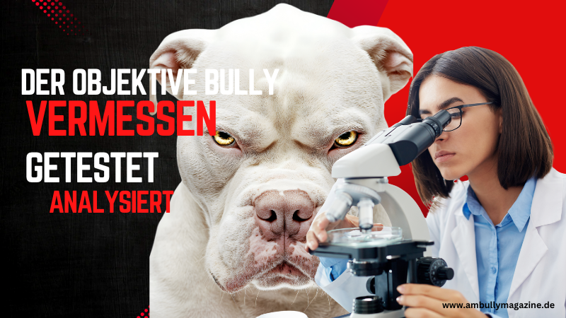 Kosmetiktasche Mit American Bully Design | 23,5x17 Cm | Aus Polyester | Mit Reißverschluss