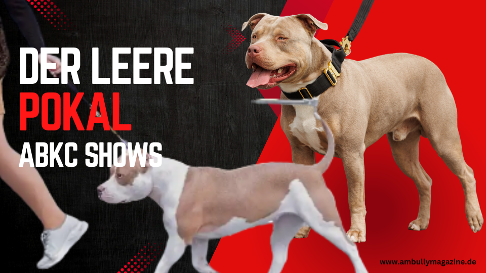 Der Traum vom fairen Wettbewerb auf ABKC Shows