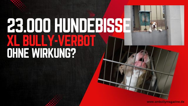 UK Ban’t Stop the Bully – Warum das XL Bully-Verbot voll nach hinten losgeht
