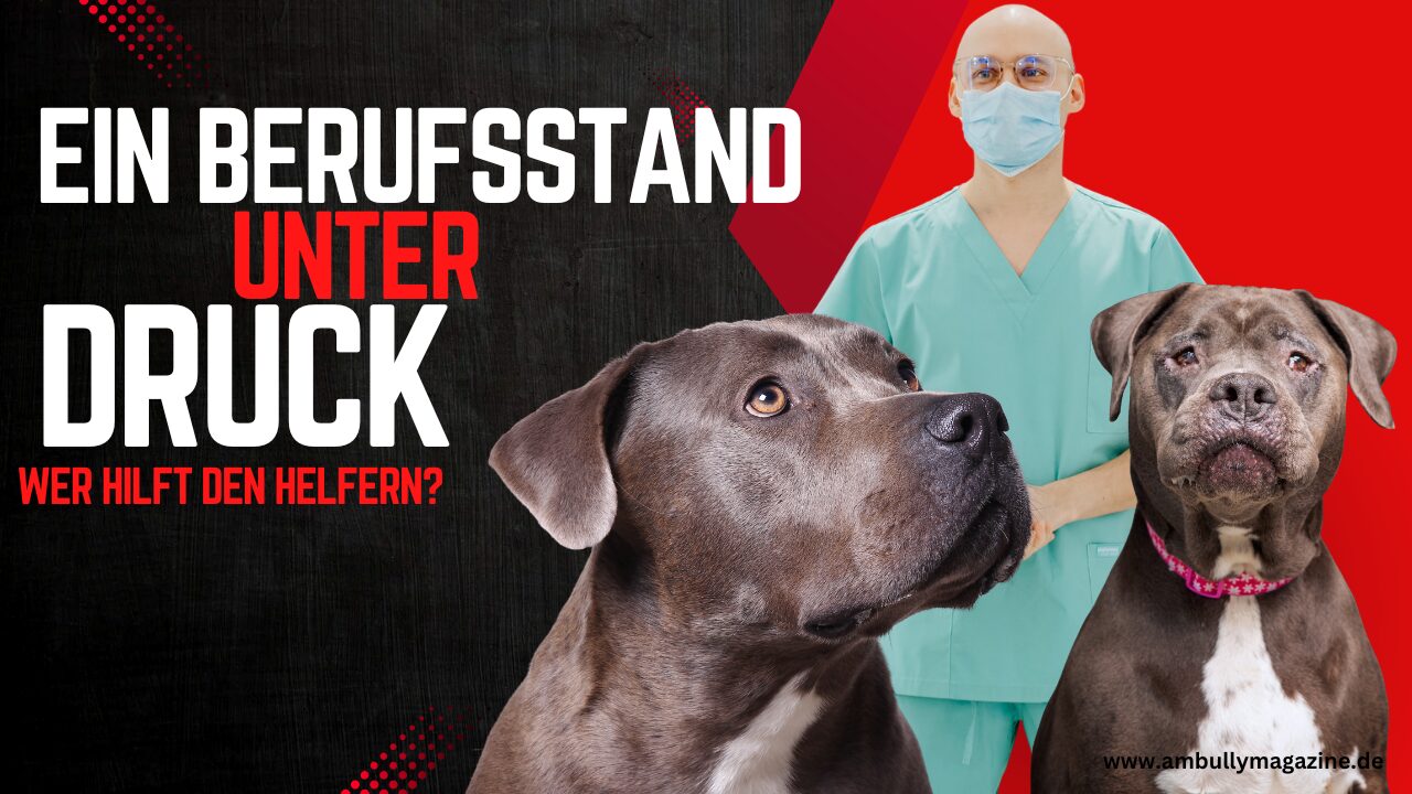 Warum Tierärzte besonders gefährdet sind: Psychische Belastung im Tierarztberuf und ihre Bedeutung für Züchter, Hundehalter und die American-Bully-Community