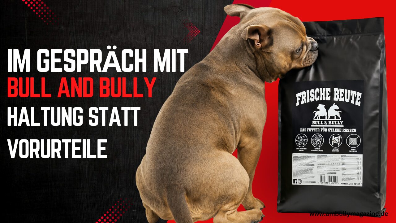 Interview mit Bull and Bully – American Bullys Vorurteile, Haltung und die Verantwortung der Menschen