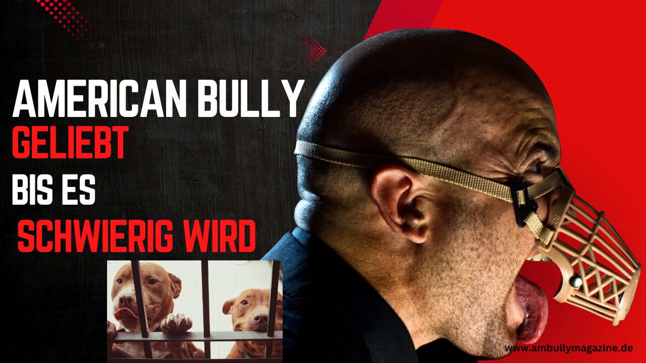 Wenn „plötzlich ein Kind da ist“ und der American Bully zum Wegwerf-Problem wird
