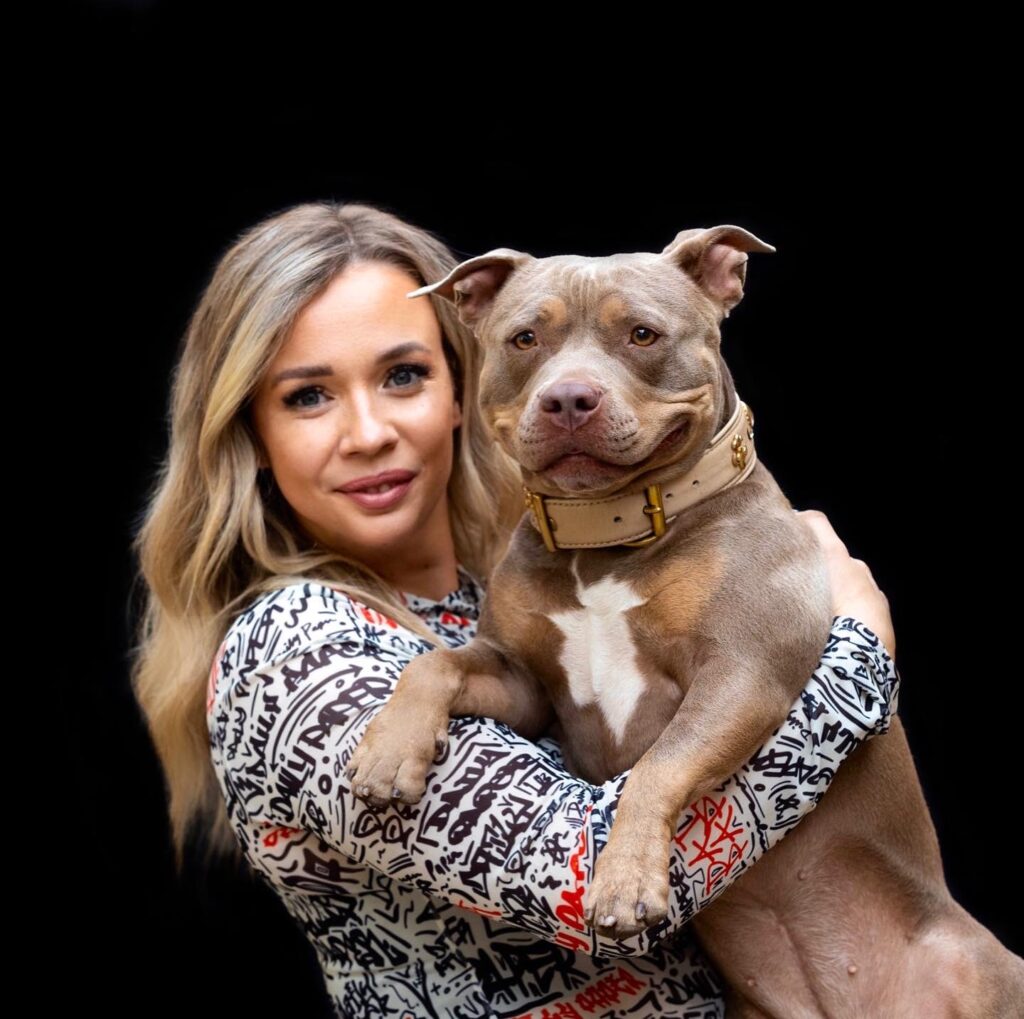 American Bully Hündin von Maria Till Westernreitsport