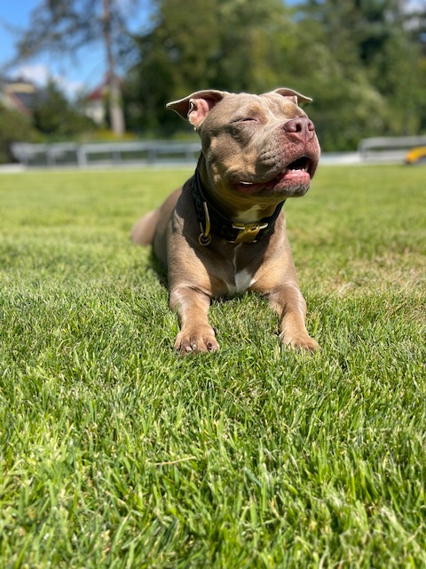 Maria Till mit Hündin Hailey