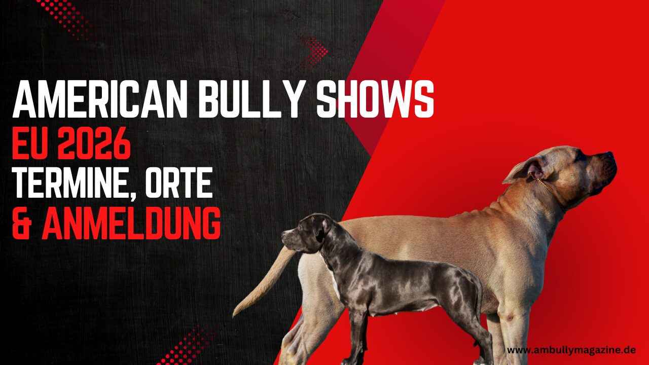 American Bully Shows EU 2026 – Termine, Orte & Anmeldung