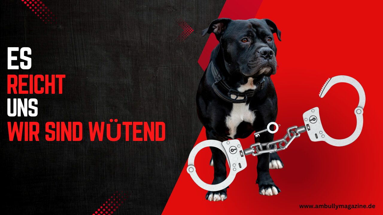 Wenn Journalismus Fakten opfert: Der American Bully als Sündenbock