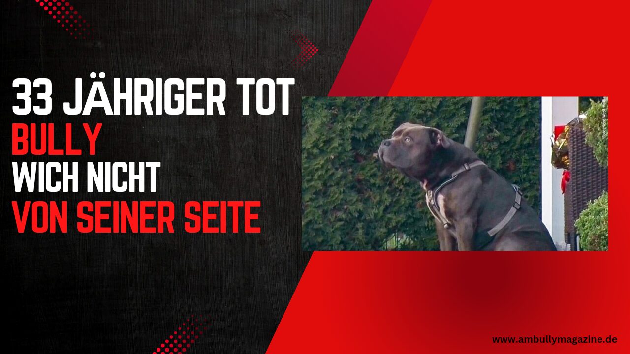 Loyalität bis zum Schluss: Bully verteidigt verstorbenen Halter in Löhne