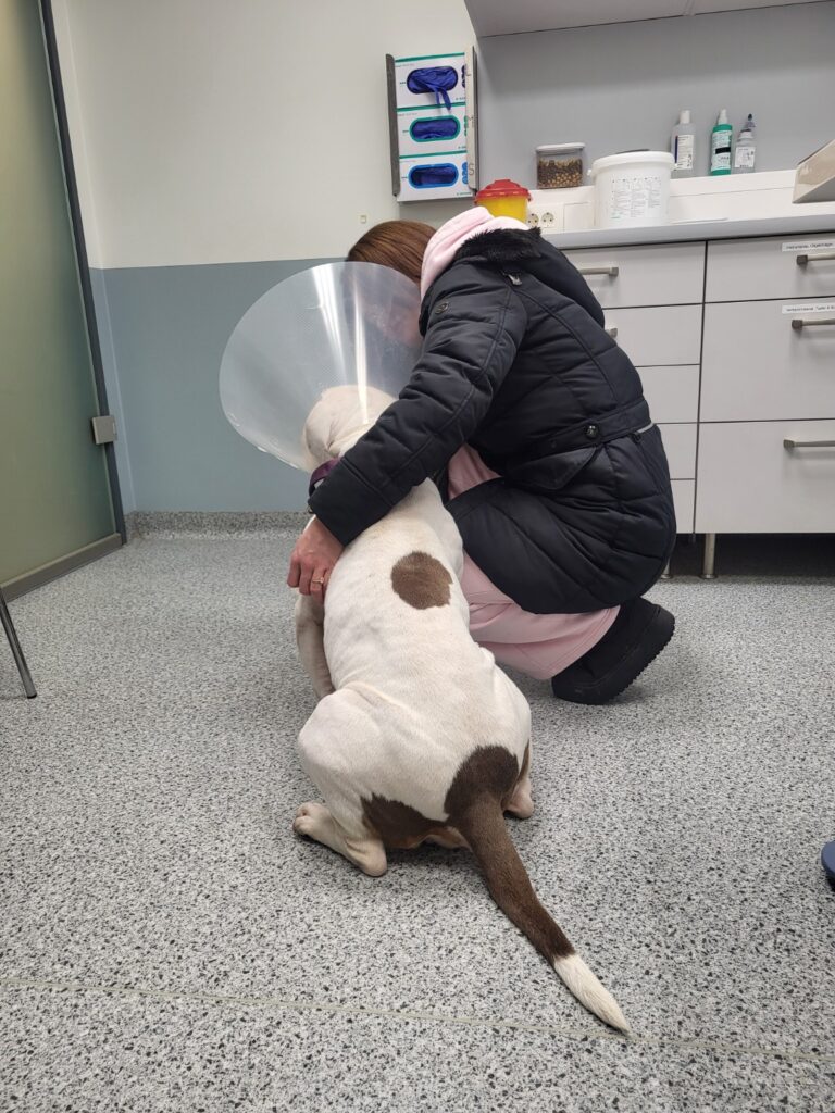 Institut Forschung Listenhunde e.V.