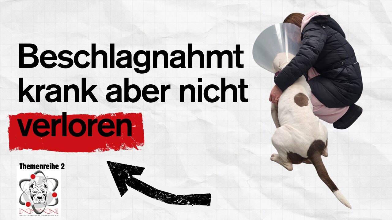 Pflegestelle rettet Leben – der Fall Xena