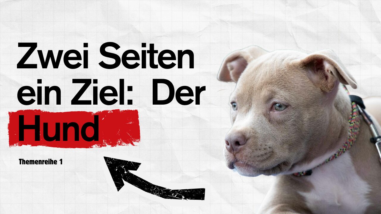 Zucht und Tierschutz – kein Widerspruch, sondern gemeinsame Verantwortung