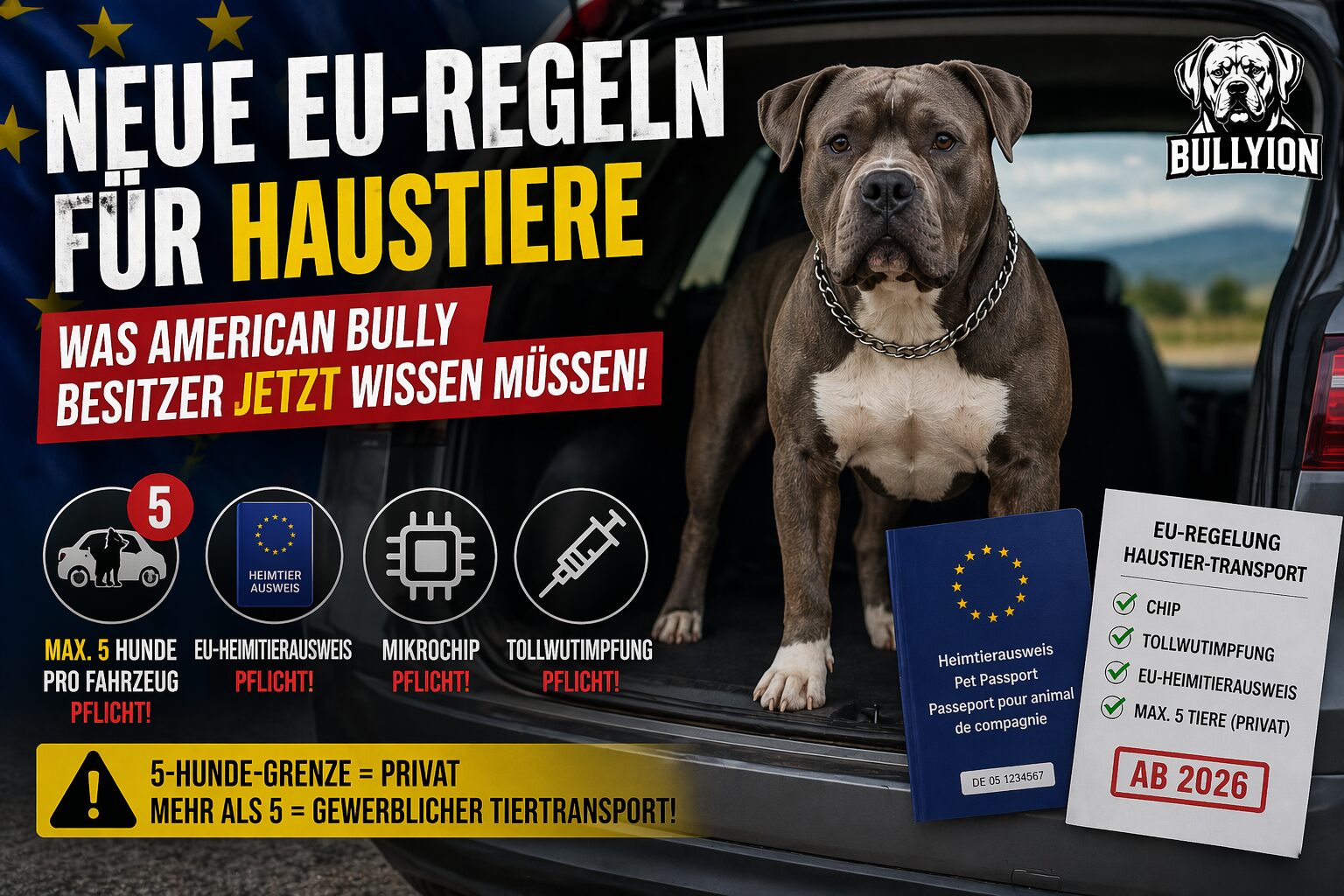 Neue EU-Regeln für Hunde 2026: Was American Bully Besitzer jetzt beim Transport, Urlaub und Reisen beachten müssen – inklusive 5-Hunde-Grenze.