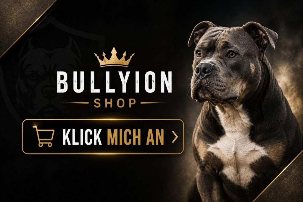 american bully shop