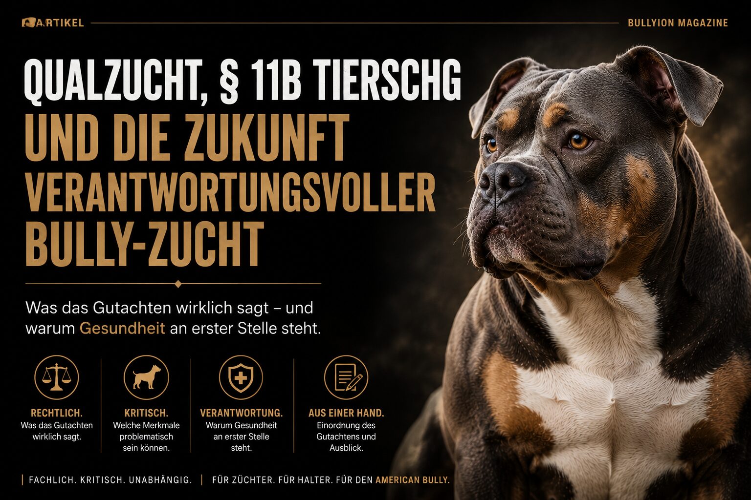 Qualzucht in Deutschland: Was das neue Rechtsgutachten für Hundezüchter bedeutet