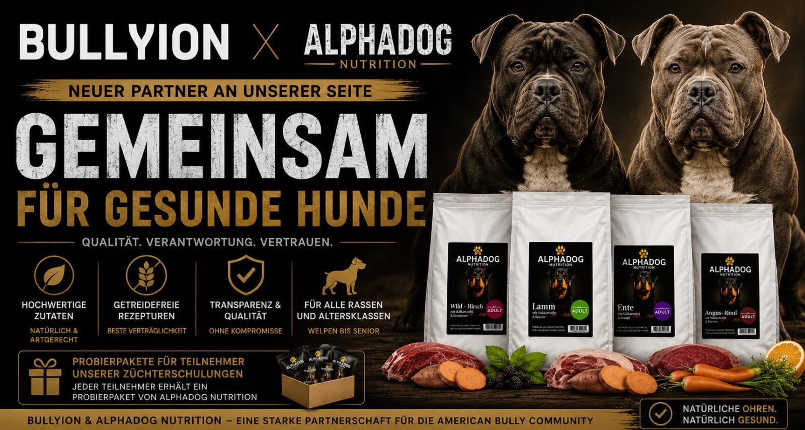 AlphaDog Nutrition wird offizieller Partner von Bullyion