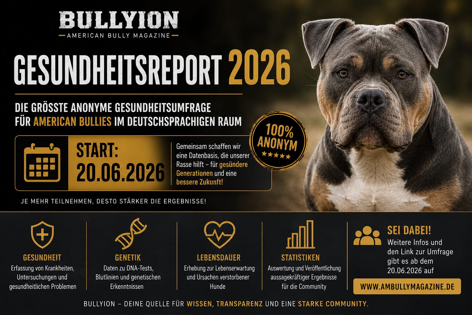 Die größte anonyme Gesundheitsumfrage für American Bullies im deutschsprachigen Raum startet am 20.06.2026